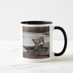 Vit Labrador nära en sjö Mugg