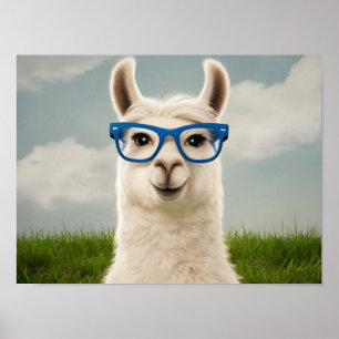 Vit lama med blått glas poster
