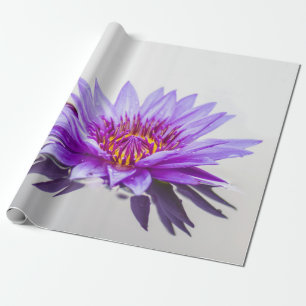 Vit Lila Lotusblomma Zen Presentpapper