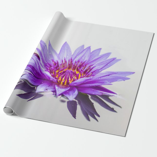 Vit Lila Lotusblomma Zen Presentpapper (Utrullad)