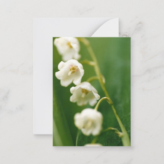 Vit Liljekonvalj (Convallaria majalis)  Anteckningskort (Framsida)