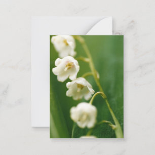 Vit Liljekonvalj (Convallaria majalis) Anteckningskort