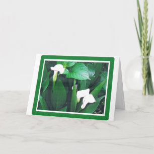 VIT LILLIES KORT