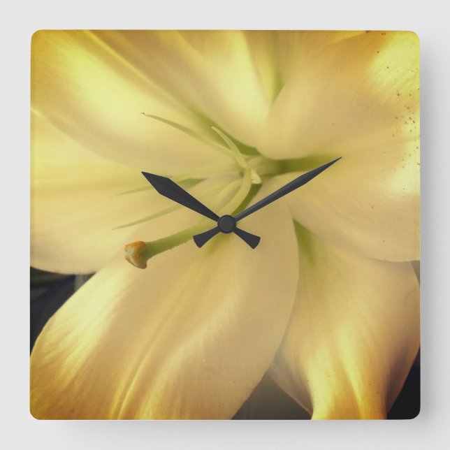 Vit Lillum Blomma Foto Fyrkantig Väggklocka (Framsida)