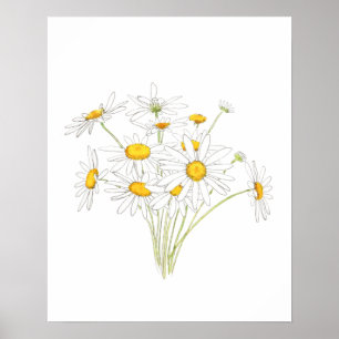 vit liten daisy, bouquet, vattenfärg poster