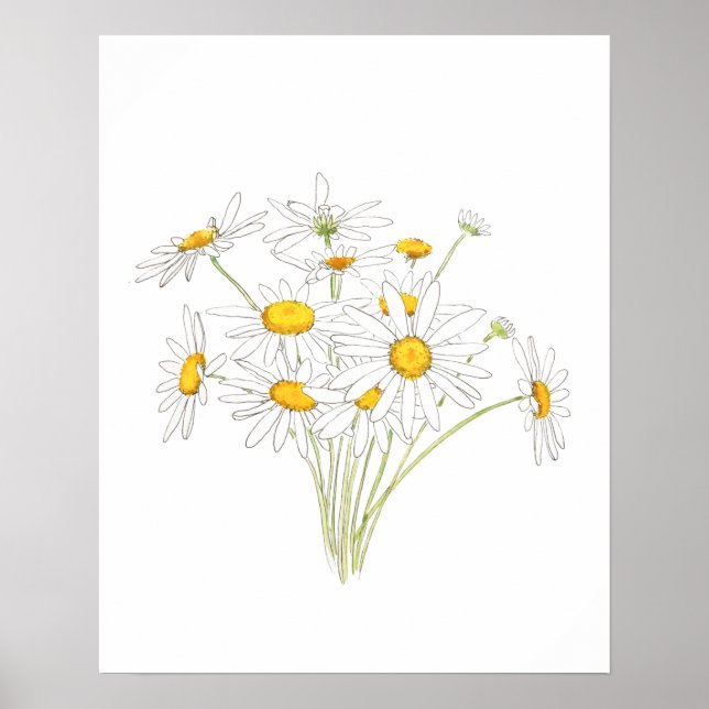 vit liten daisy, bouquet, vattenfärg poster (Framsidan)