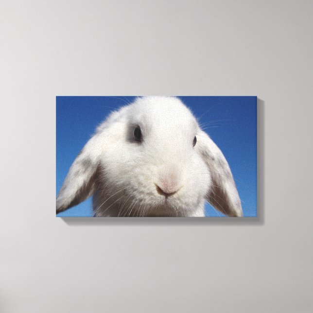 Vit lopp canvastryck (Framsida)