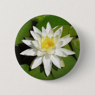 Vit Lotus Knapp