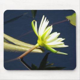 vit lotus vattentät musmatta