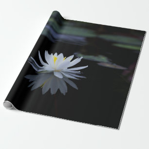 Vit Lotusblomma Zen Presentpapper