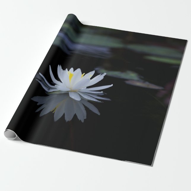Vit Lotusblomma Zen Presentpapper (Utrullad)