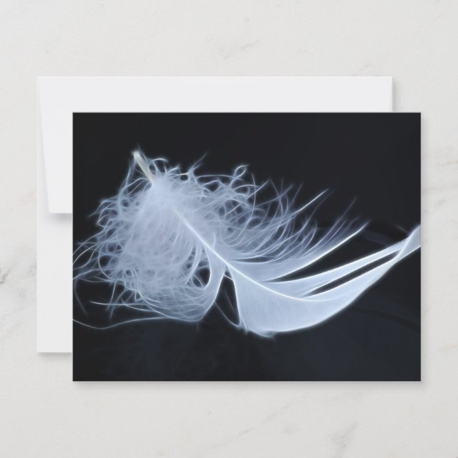 Vit ludd - vinklar efter naturen (Framsida)