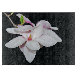 Vit Magnolia