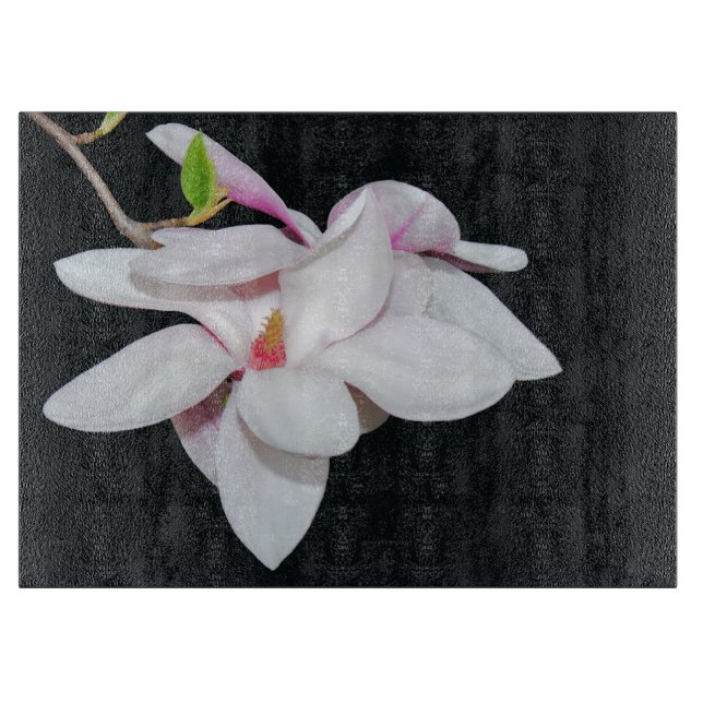 Vit Magnolia (Framsidan)