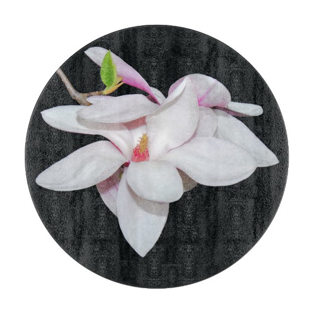 Vit Magnolia (Framsidan)
