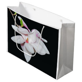 Vit Magnolia