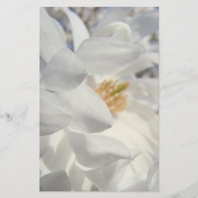 Vit Magnolia Blomma brevpapper anpassning (Framsida)