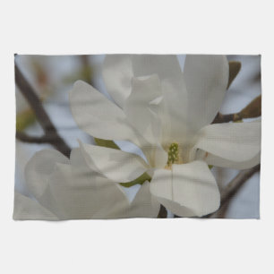 Vit Magnolia Blommar på Våren Kökshandduk