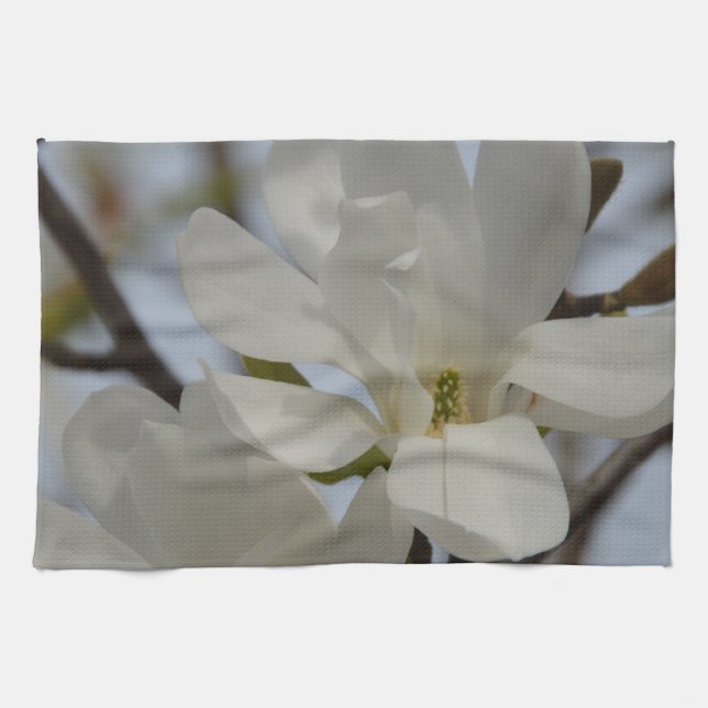 Vit Magnolia Blommar på Våren Kökshandduk (Horisontell)