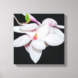 Vit Magnolia Canvastryck