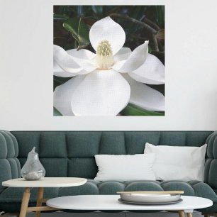 Vit Magnolia Flower Photographic Botanical Canvastryck