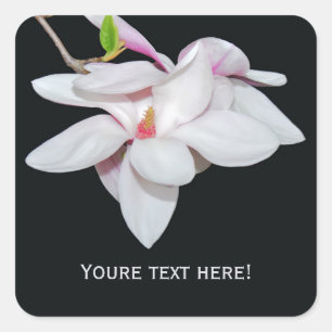 Vit Magnolia Fyrkantigt Klistermärke