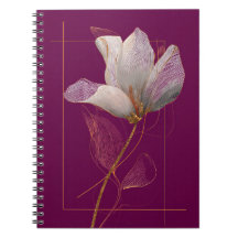Vit Magnolia Guldlinje Magenta