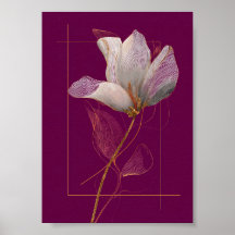 Vit Magnolia Guldlinje Magenta