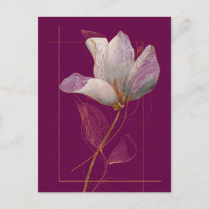 Vit Magnolia Guldlinje Magenta Vykort