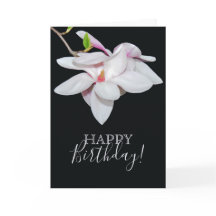 Vit Magnolia