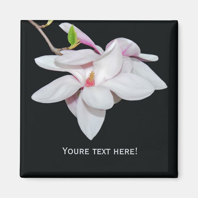 Vit Magnolia Magnet (Framsidan)
