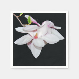 Vit Magnolia Pappersservett