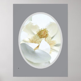 Vit Magnolia Poster