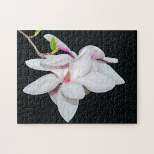 Vit Magnolia Pussel