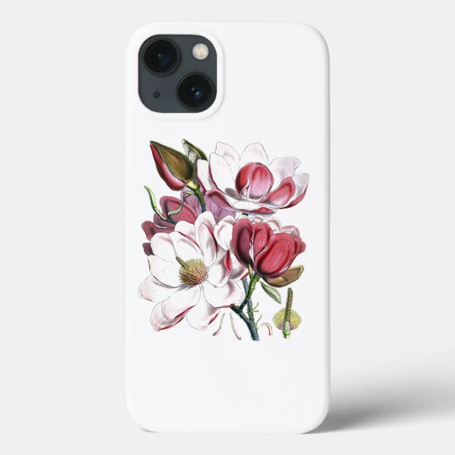 Vit Magnolias Flower Vintage Gamle Illustration (Baksida)