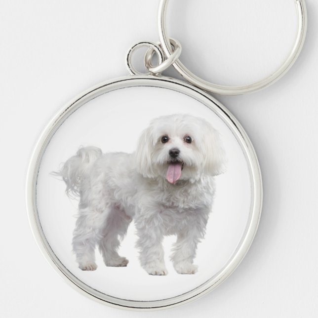 Vit malteser valp Hund Anpassad Nyckelring (Framsidan)