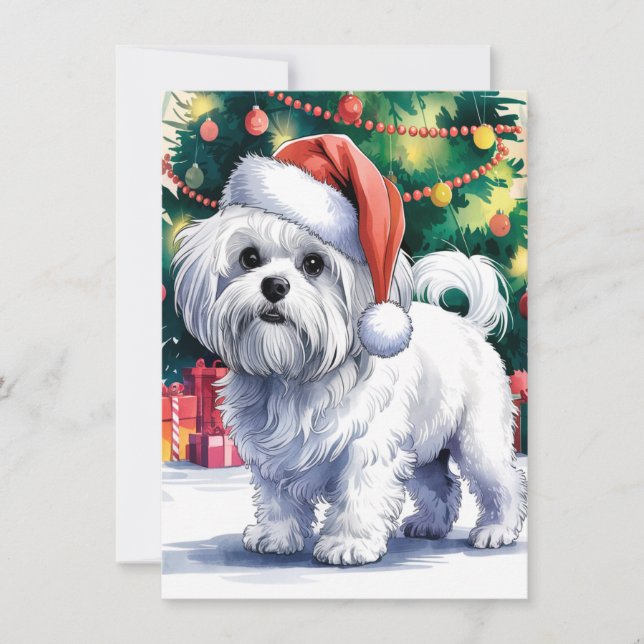 Vit malteserhund med tomtehatt julkort (Framsida)
