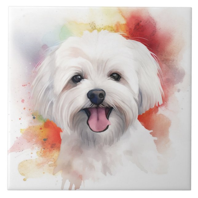 Vit maltesisk hund (Watercolor) Kakelplatta (Framsidan)