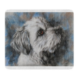 Vit maltesisk/Shih Tzu fluffy hund