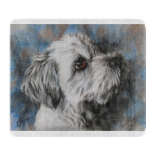 Vit maltesisk/Shih Tzu fluffy hund
