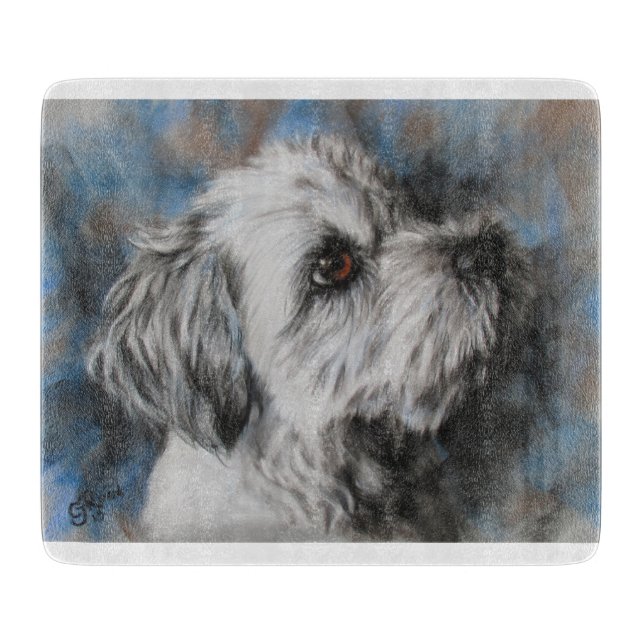 Vit maltesisk/Shih Tzu fluffy hund (Framsidan)
