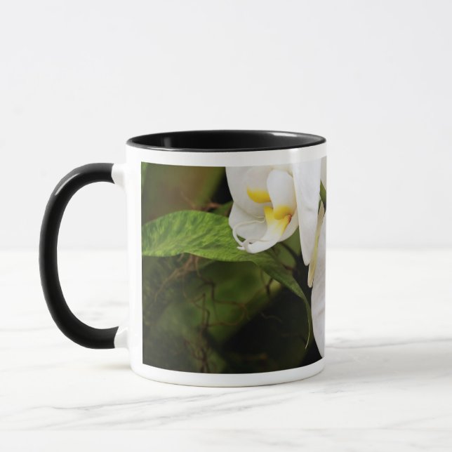 Vit månorkidé (Phalaenopsis Aphrodite) Mugg (Vänster)