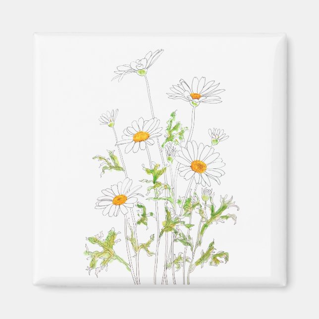 vit Margaret daisy bläck och vattenfärg Magnet (Framsidan)