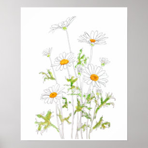 vit Margaret daisy bläck och vattenfärg Poster