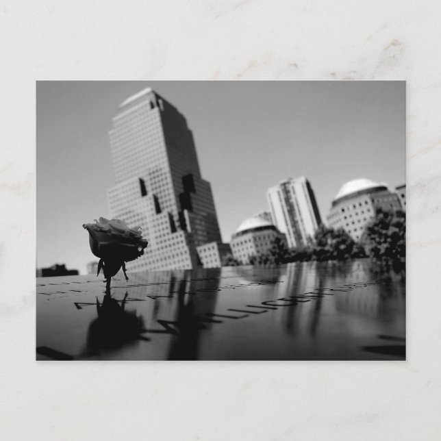 Vit minnesros vykort (Framsida)