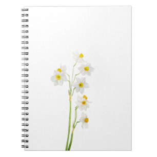 vit narcissus vattenfärgad blomma anteckningsbok