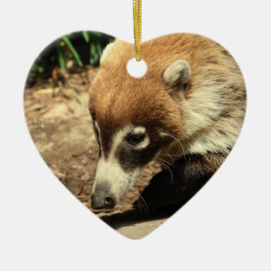 Vit Nosed Coatiprydnad Julgransprydnad Keramik