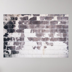 Vit och brun betongvägg poster