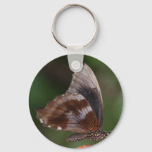 Vit och brun fjäril på Red Flower