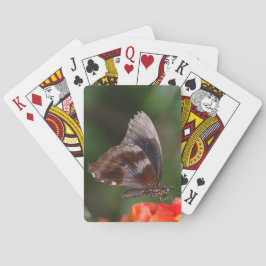 Vit och brun fjäril på röd blomma casinokort